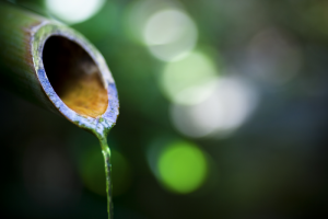 Våld i nära relationer