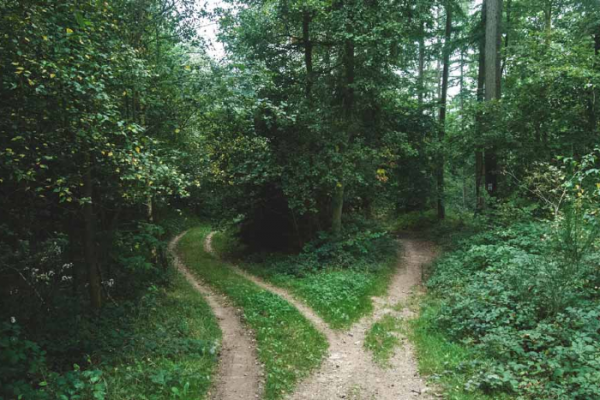 Depression efter skilsmässa