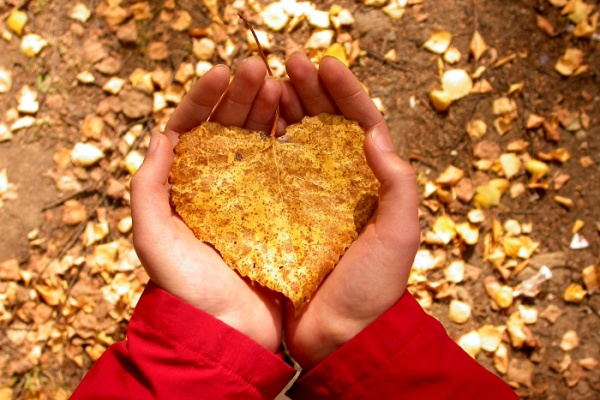 Compassionfokuserad terapi (CFT)